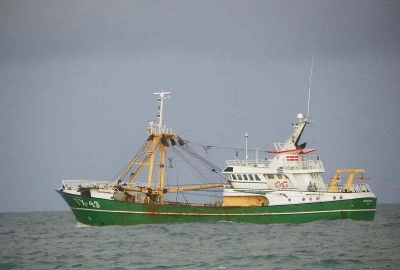 TX43 BIEM V D VIS General Cargo IMO 9225627 photo 7