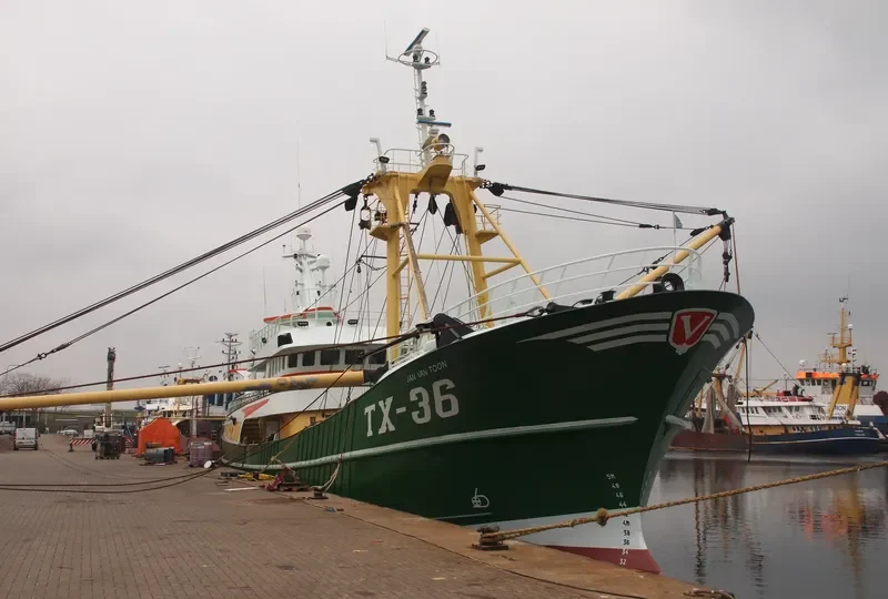TX43 BIEM V D VIS General Cargo IMO 9225627 photo 10