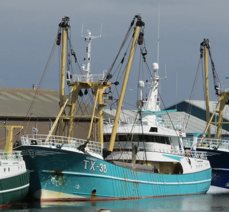 TX 38 General Cargo IMO 9225639 photo 2