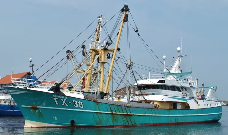 TX 38 General Cargo IMO 9225639 photo 4