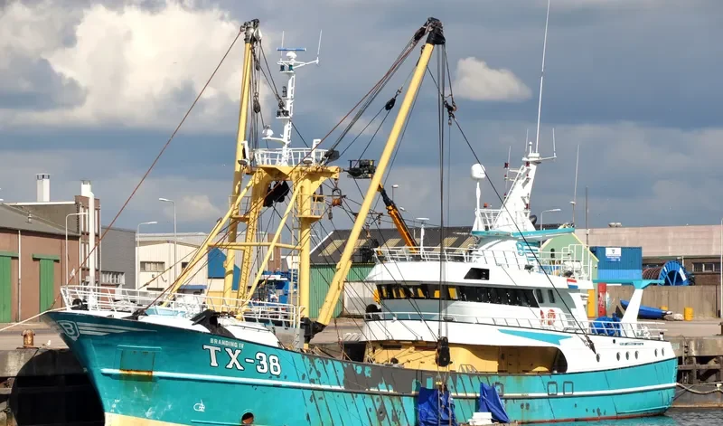 TX 38 General Cargo IMO 9225639 photo 9