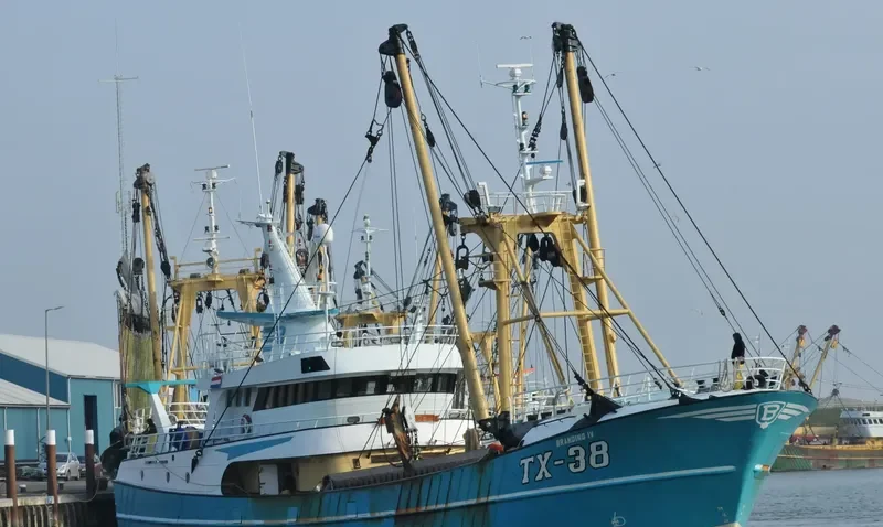 TX 38 General Cargo IMO 9225639 photo 10