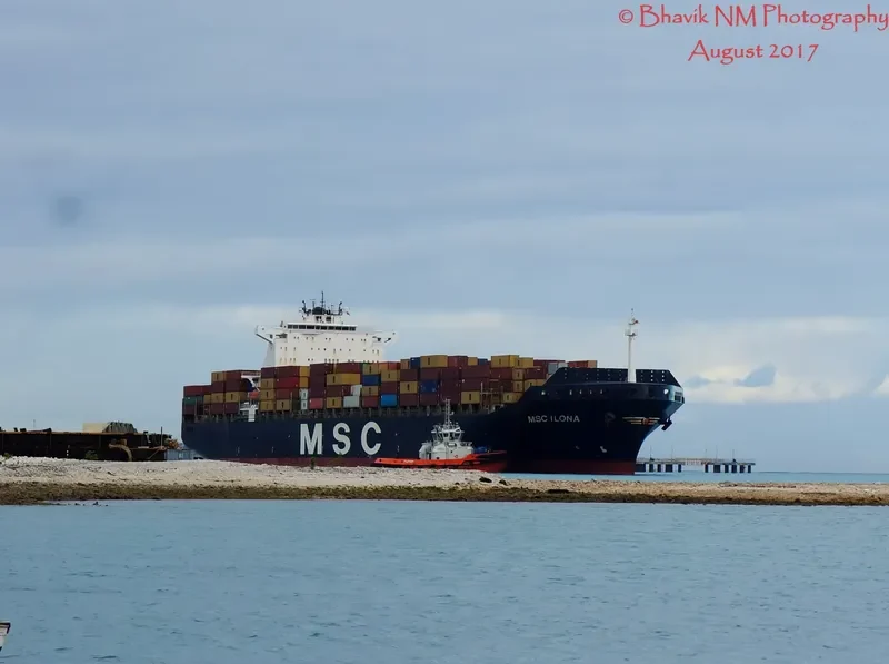 MSC ILONA Container Ship IMO 9225641 photo 3