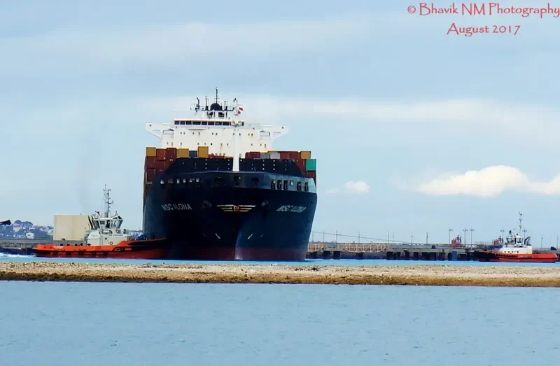 MSC ILONA Container Ship IMO 9225641 photo 4