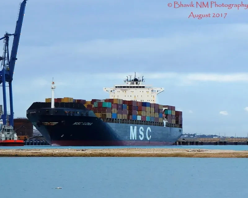 MSC ILONA Container Ship IMO 9225641 photo 5