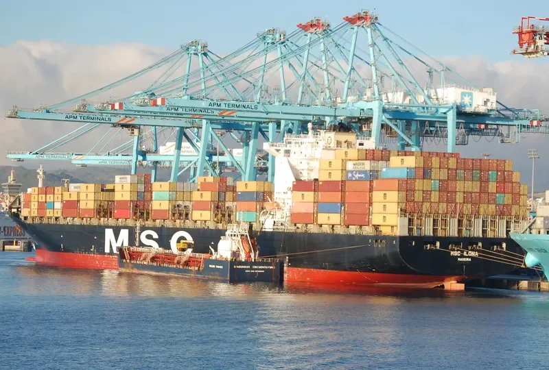 MSC ILONA Container Ship IMO 9225641 photo 6