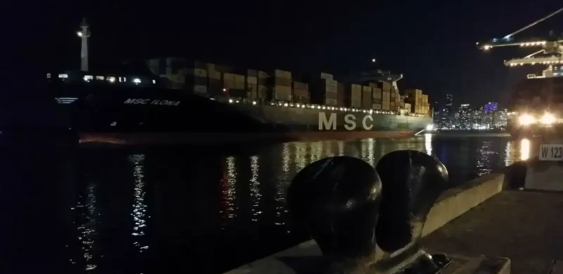 MSC ILONA Container Ship IMO 9225641 photo 10