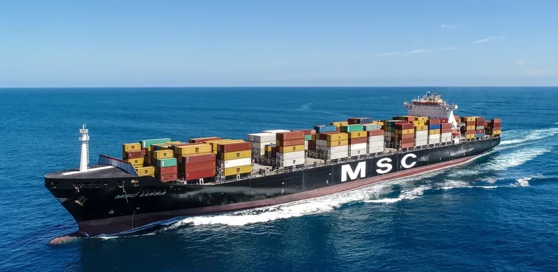 MSC LUISA Container Ship IMO 9225677 photo 2