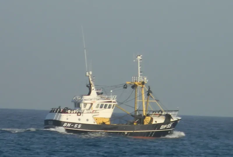 ANGEL EMIEL General Cargo IMO 9225689