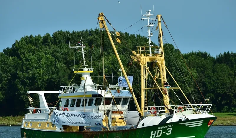 NIEUWE DIEP General Cargo IMO 9225706 photo 6