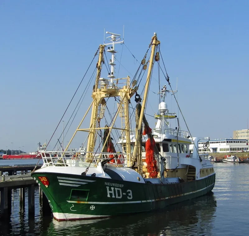 NIEUWE DIEP General Cargo IMO 9225706 photo 9