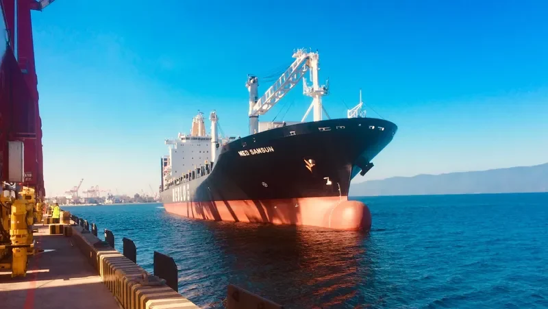 MED SAMSUN Container Ship IMO 9225794
