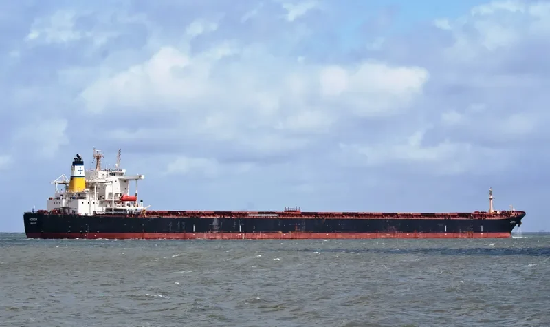 NORFOLK Bulk Carrier IMO 9225809 photo 8