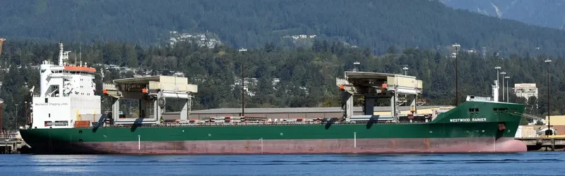 WESTWOOD RAINIER Container Ship IMO 9226035 photo 2
