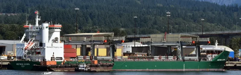 WESTWOOD OLYMPIA Container Ship IMO 9226061 photo 3