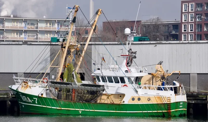 BRA7 JADE General Cargo IMO 9226243 photo 3