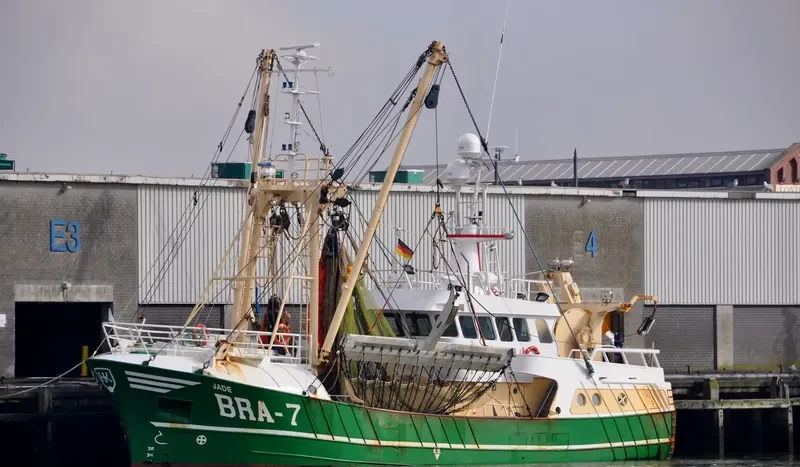 BRA7 JADE General Cargo IMO 9226243 photo 4