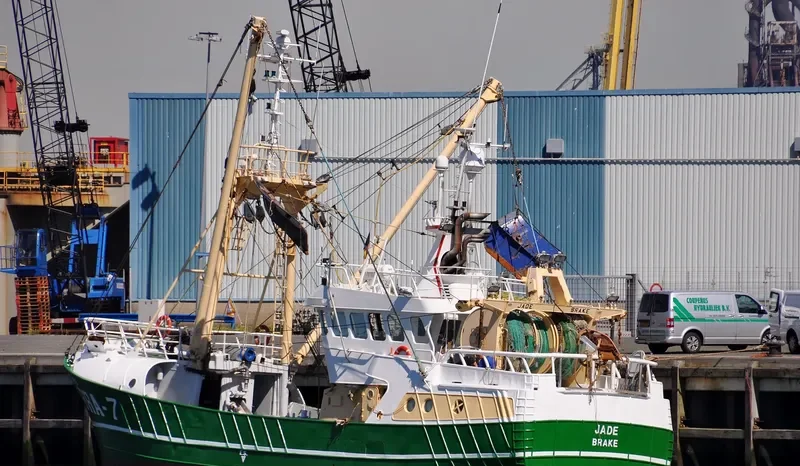 BRA7 JADE General Cargo IMO 9226243 photo 5