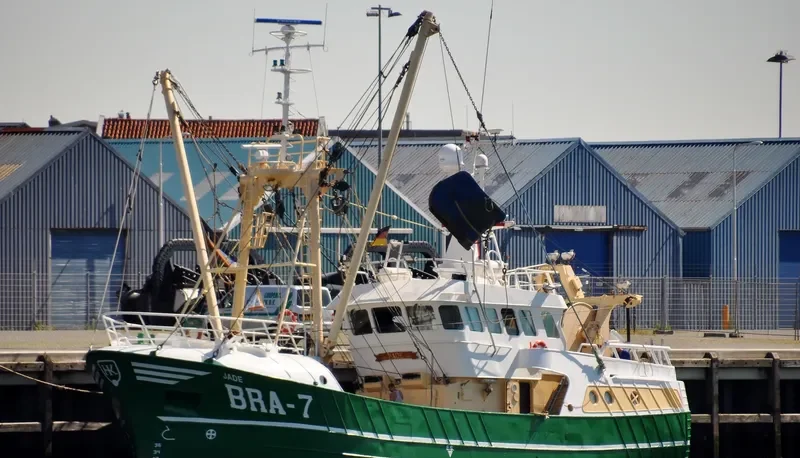 BRA7 JADE General Cargo IMO 9226243 photo 6