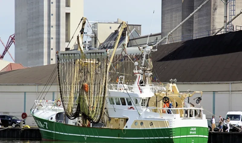 BRA7 JADE General Cargo IMO 9226243 photo 9