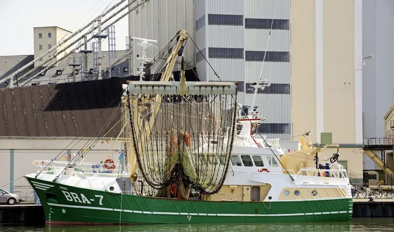 BRA7 JADE General Cargo IMO 9226243 photo 10