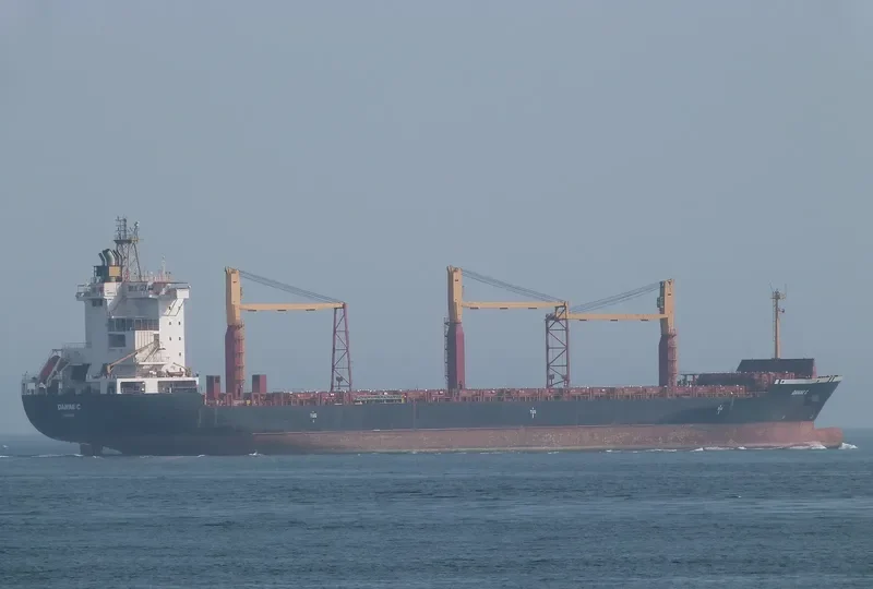 ARTOTINA Container Ship IMO 9226425 photo 5
