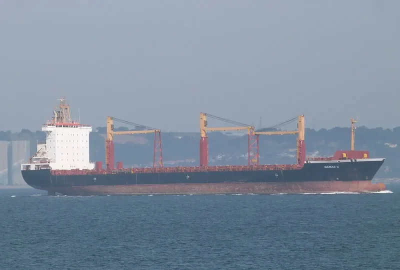 ARTOTINA Container Ship IMO 9226425 photo 6