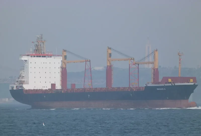 ARTOTINA Container Ship IMO 9226425 photo 7
