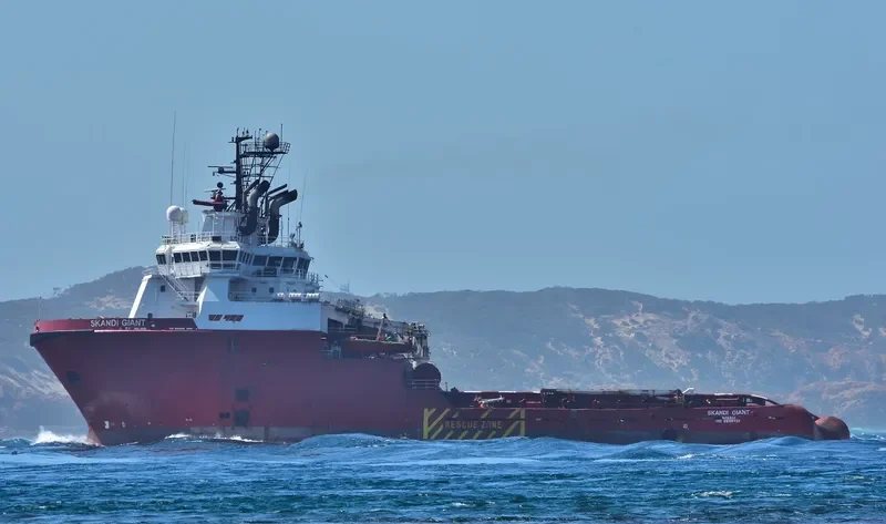 SKANDI GIANT General Cargo IMO 9226437 photo 5