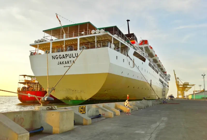 NGGAPULU Passenger Ship IMO 9226499