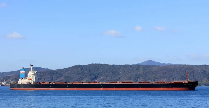 SUNNY CONAKRY Bulk Carrier IMO 9226633 photo 2