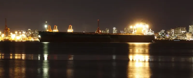SUNNY CONAKRY Bulk Carrier IMO 9226633 photo 9