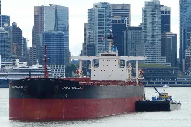 SUNNY CONAKRY Bulk Carrier IMO 9226633 photo 10