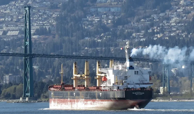 HAI YI TONG 7 Bulk Carrier IMO 9226671 photo 2