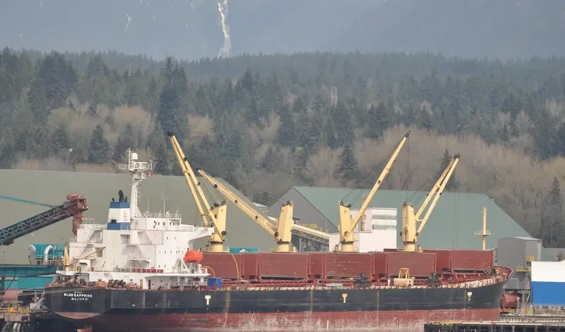 HAI YI TONG 7 Bulk Carrier IMO 9226671 photo 3