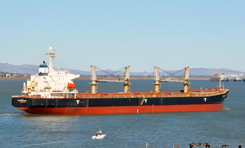 HAI YI TONG 7 Bulk Carrier IMO 9226671 photo 6