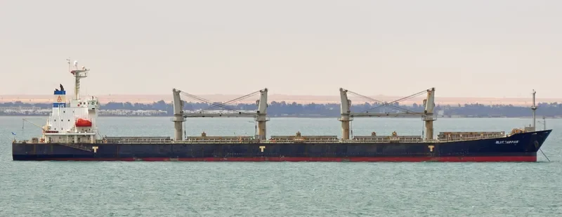 HAI YI TONG 7 Bulk Carrier IMO 9226671 photo 8