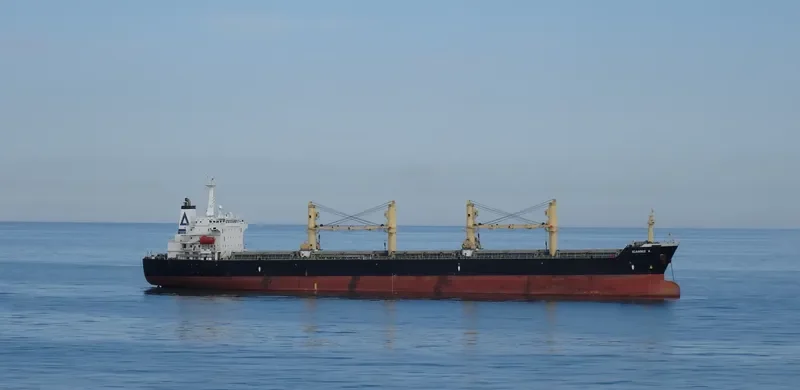 HACI ALI SARI Bulk Carrier IMO 9226748