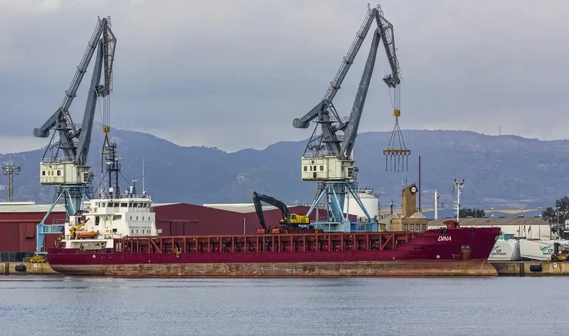 DINA General Cargo IMO 9226786