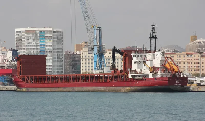 DINA General Cargo IMO 9226786 photo 3