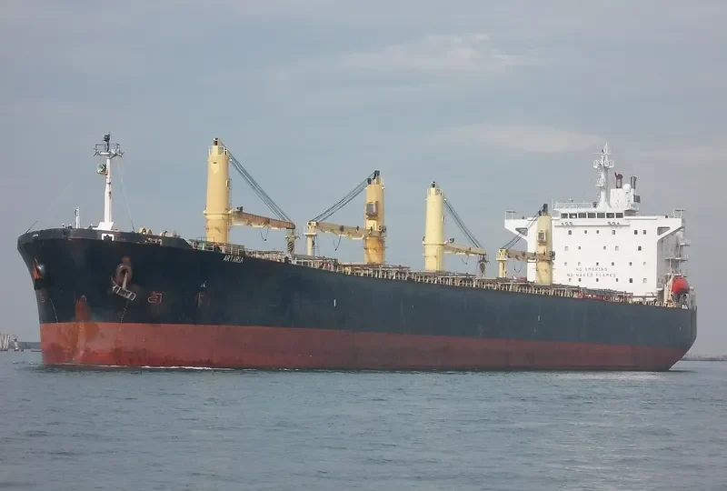 ARTARIA Bulk Carrier IMO 9226944