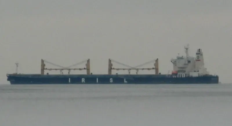 ARTARIA Bulk Carrier IMO 9226944 photo 2