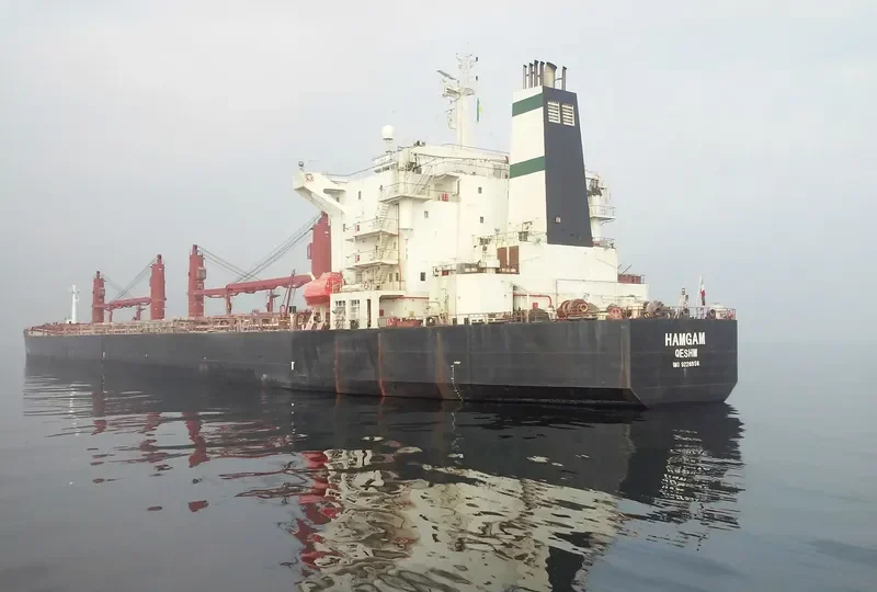 HAMGAM Bulk Carrier IMO 9226956
