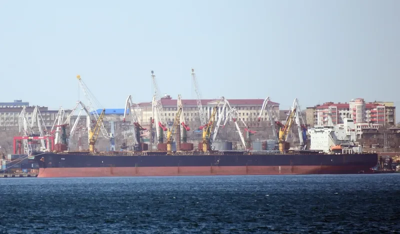HAMGAM Bulk Carrier IMO 9226956 photo 3