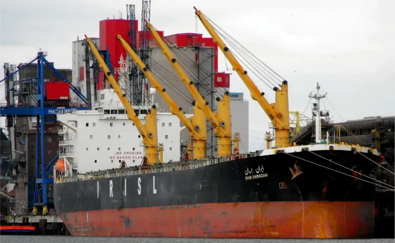 HAMGAM Bulk Carrier IMO 9226956 photo 5