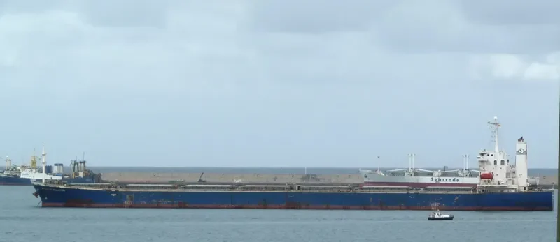 NAN XIN 3 Bulk Carrier IMO 9226994