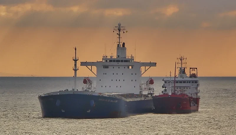NAN XIN 3 Bulk Carrier IMO 9226994 photo 3