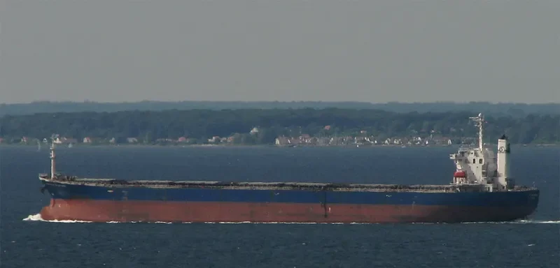 NAN XIN 3 Bulk Carrier IMO 9226994 photo 6