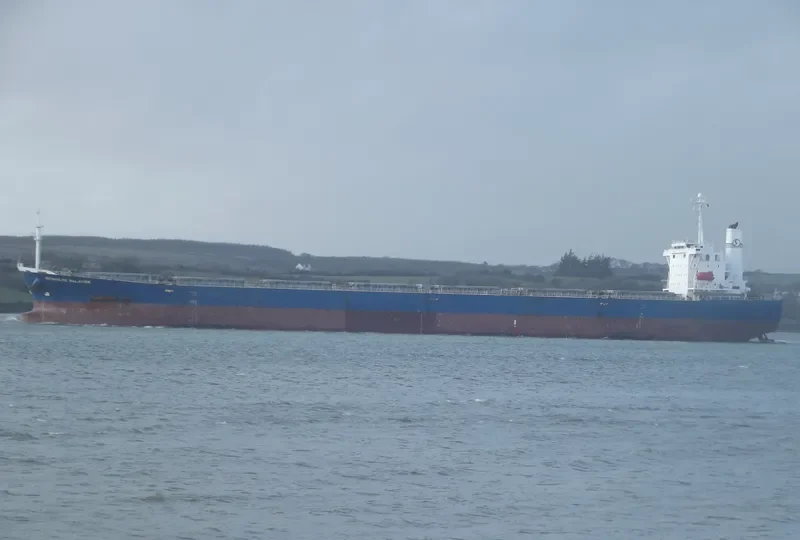 NAN XIN 3 Bulk Carrier IMO 9226994 photo 10
