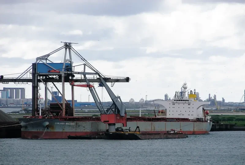 SHINYO FORTUNE Bulk Carrier IMO 9227003
